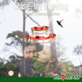 Birdream red feeder, close-up of 7 feeding ports with bee-proof design.