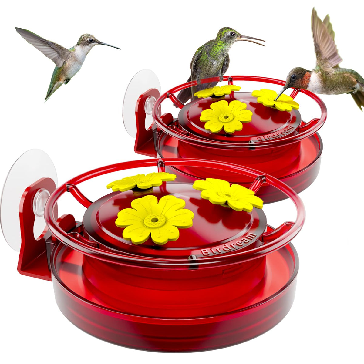 Birdream window hummingbird feeder with ant moat enhancing cleanliness and viewing.