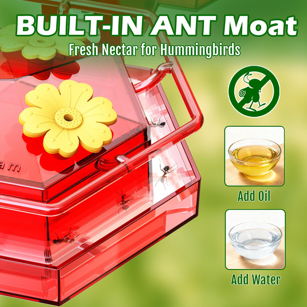 Birdream Window Hummingbird Feeder red design with three ports helps limit bee access.