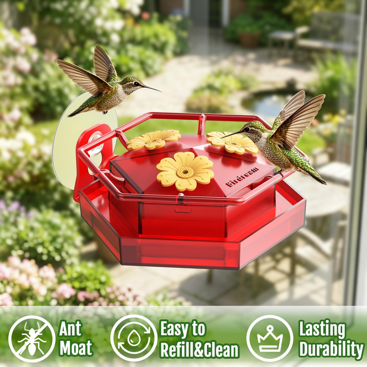 Birdream window feeder red design attracts hummingbirds