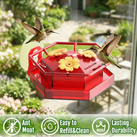Birdream window feeder red design attracts hummingbirds