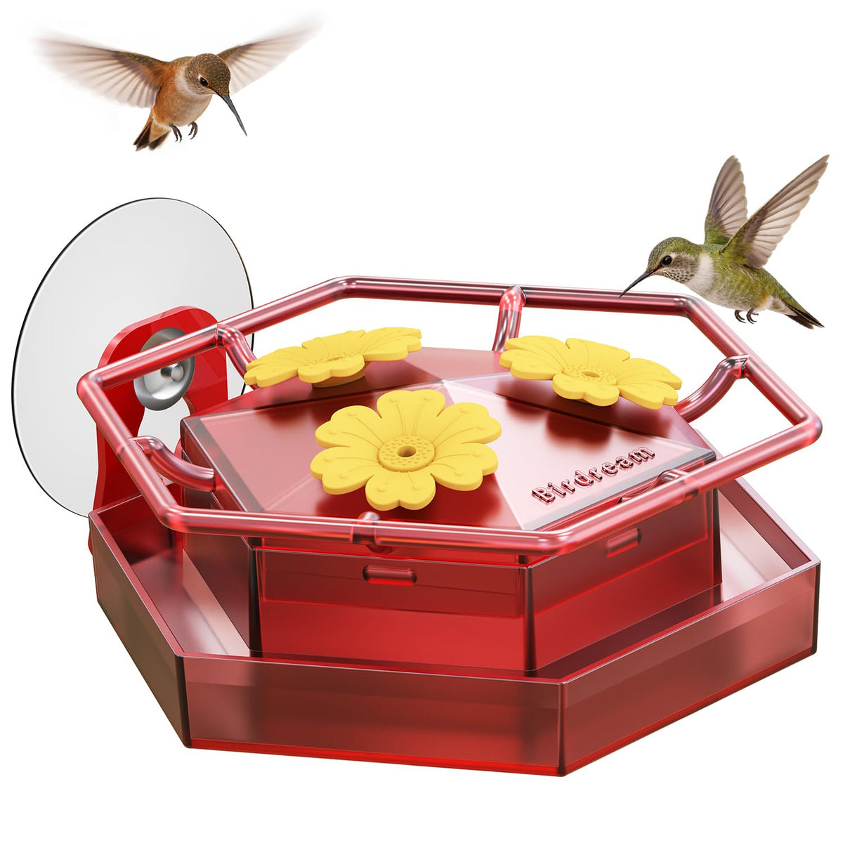 Birdream Window Hummingbird Feeder with strong suction cup for secure outdoor viewing