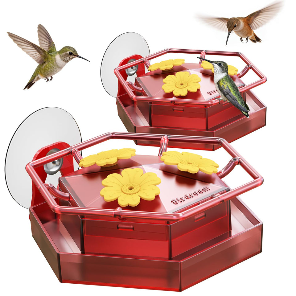 Birdream Window Hummingbird Feeder with strong suction cup secures to glass for close-up birdwatching.