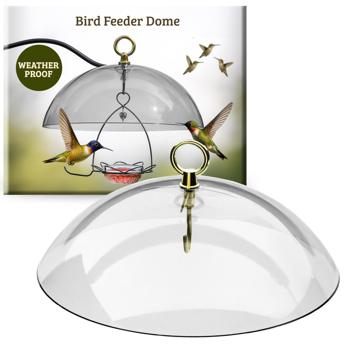 Birds Choice clear feeder dome with 10.5-inch diameter protecting seeds outdoors