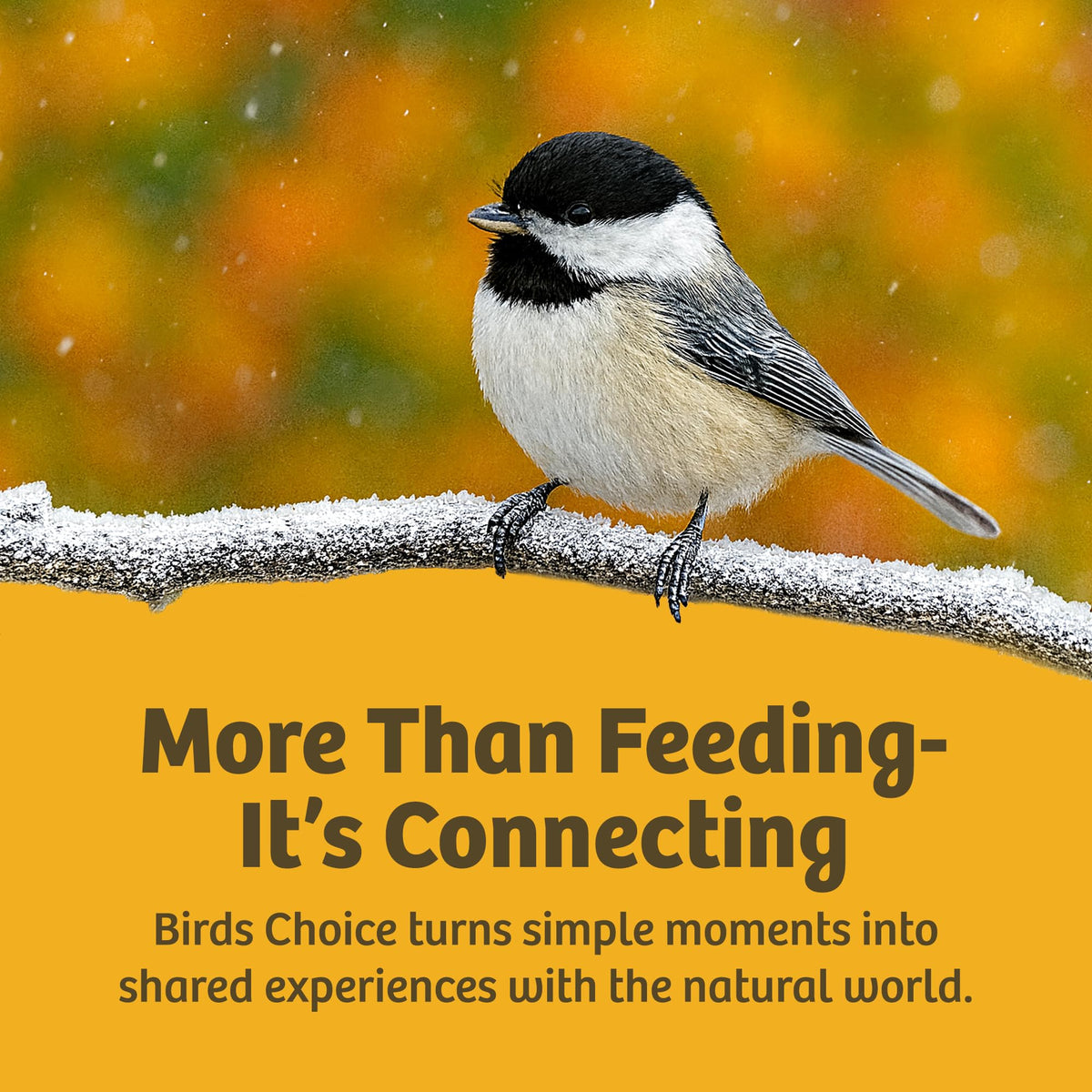 Birds Choice Durable Outdoor Dome withstands harsh weather across seasons.