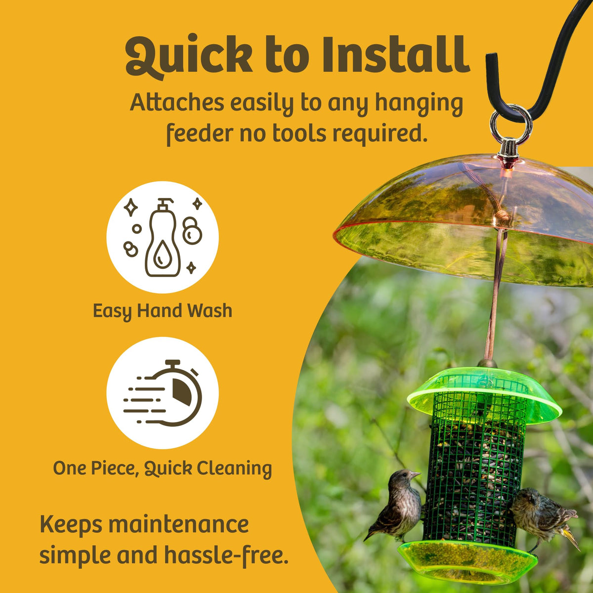 Birds Choice Large Diameter Dome surrounds feeder area for dry seed.