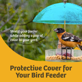 Birds Choice rain guard dome covers hanging feeder, keeping seed dry