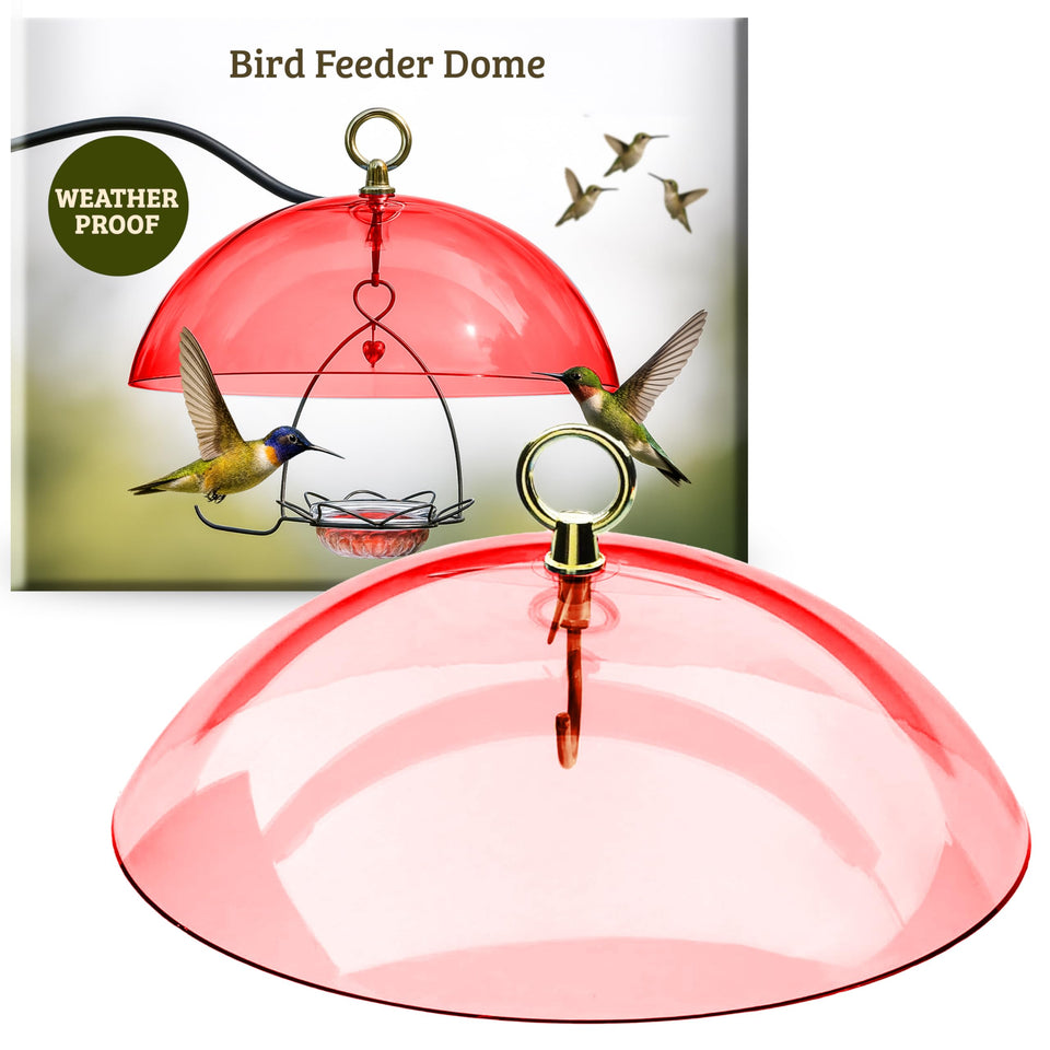 Birds Choice Red Dome cover with 10.5-inch dome shields feeders from rain.