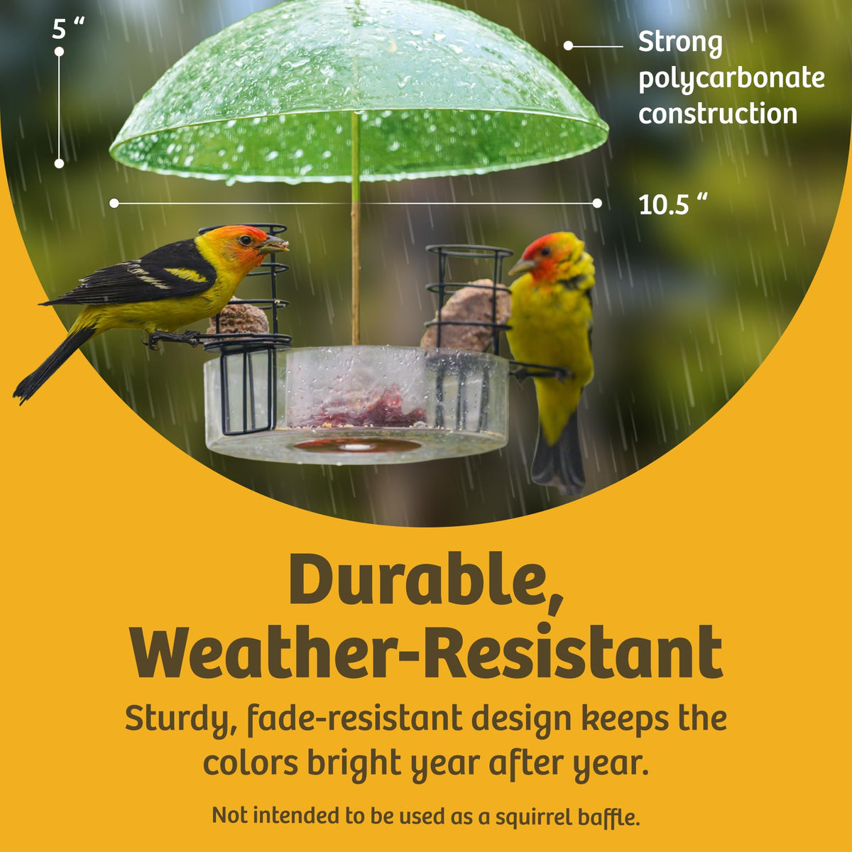 Birds Choice USA-made Dome Hanger showcases American craftsmanship and durability.