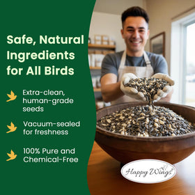 Birds at a backyard feeder enjoying Happy Wings No Grow seed mix.