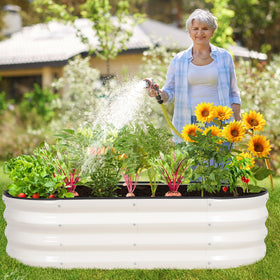 BIRDSINYARD garden bed in a vegetable-rich setting for inspiration.