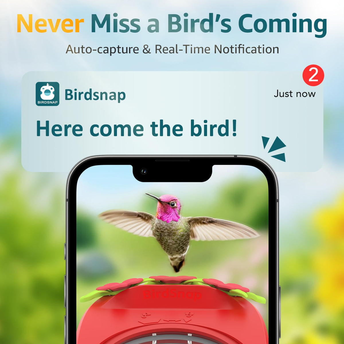 Birdsnap AI identification detects species and sends real-time alerts to your phone