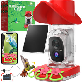 Birdsnap hummingbird feeder camera captures a crisp 2K live stream for garden viewing