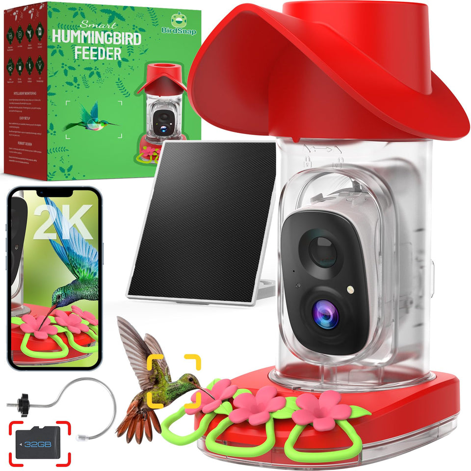 Birdsnap hummingbird feeder camera captures a crisp 2K live stream for garden viewing
