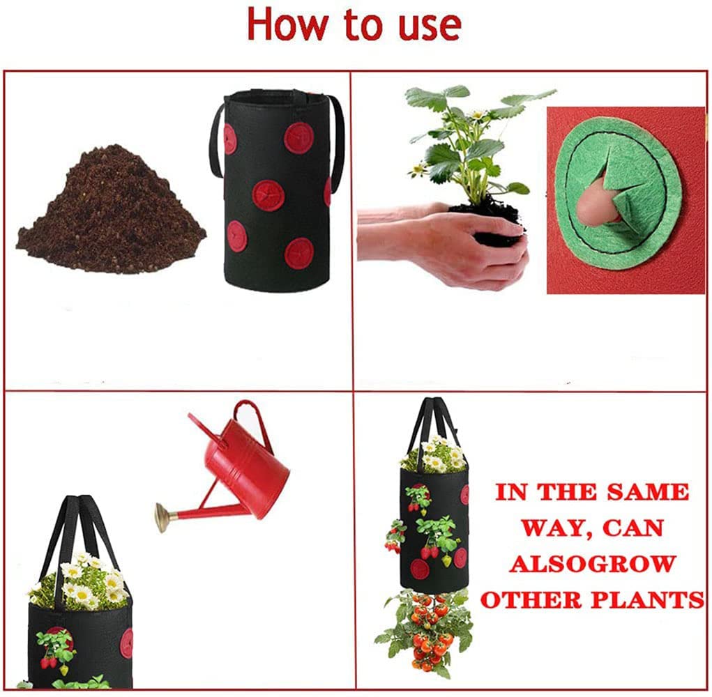 Birheatry breathable felt cloth design promotes moisture balance for healthy plants.