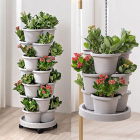 Birheatry easy-assembly starter kit for gifting or starting your garden.