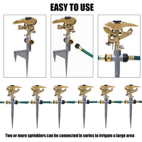 Biswing misting and irrigation setup for lawn and garden use