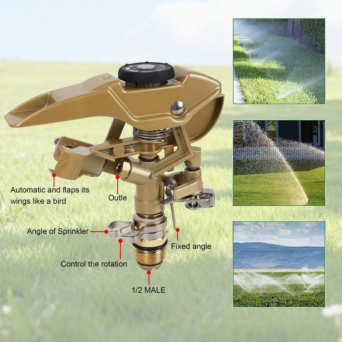 Biswing outdoor irrigation setup for lawns and patios