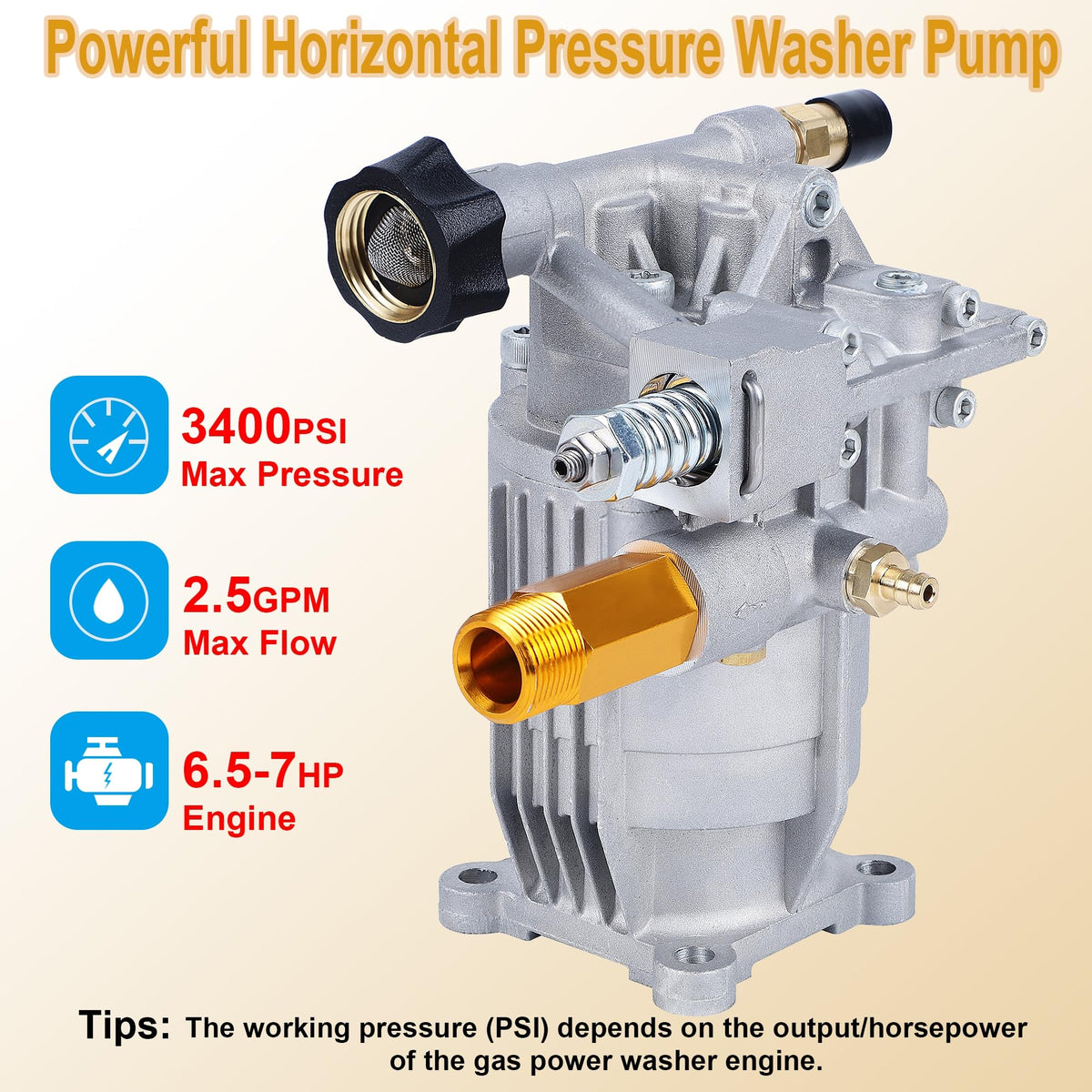 Biswing pump outlet with M22 connection ensures a secure high-pressure hose fit.