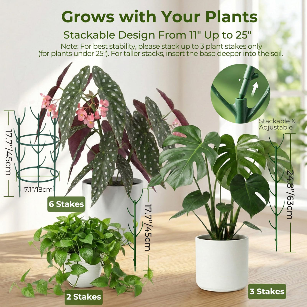 Bitjoy garden ties and tape secure plant training.