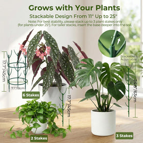 Bitjoy garden ties and tape secure plant training.