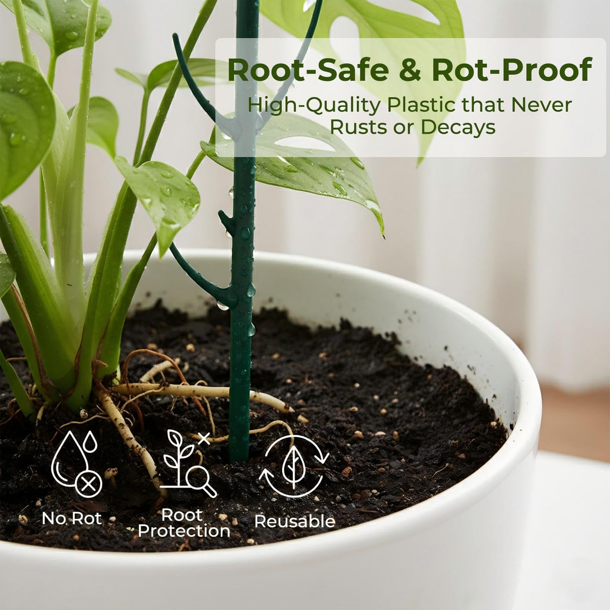 Bitjoy indoor plant climber kit for living rooms.