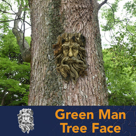 Bits and Pieces Old Man Tree Face Decor adds playful charm to trunks.