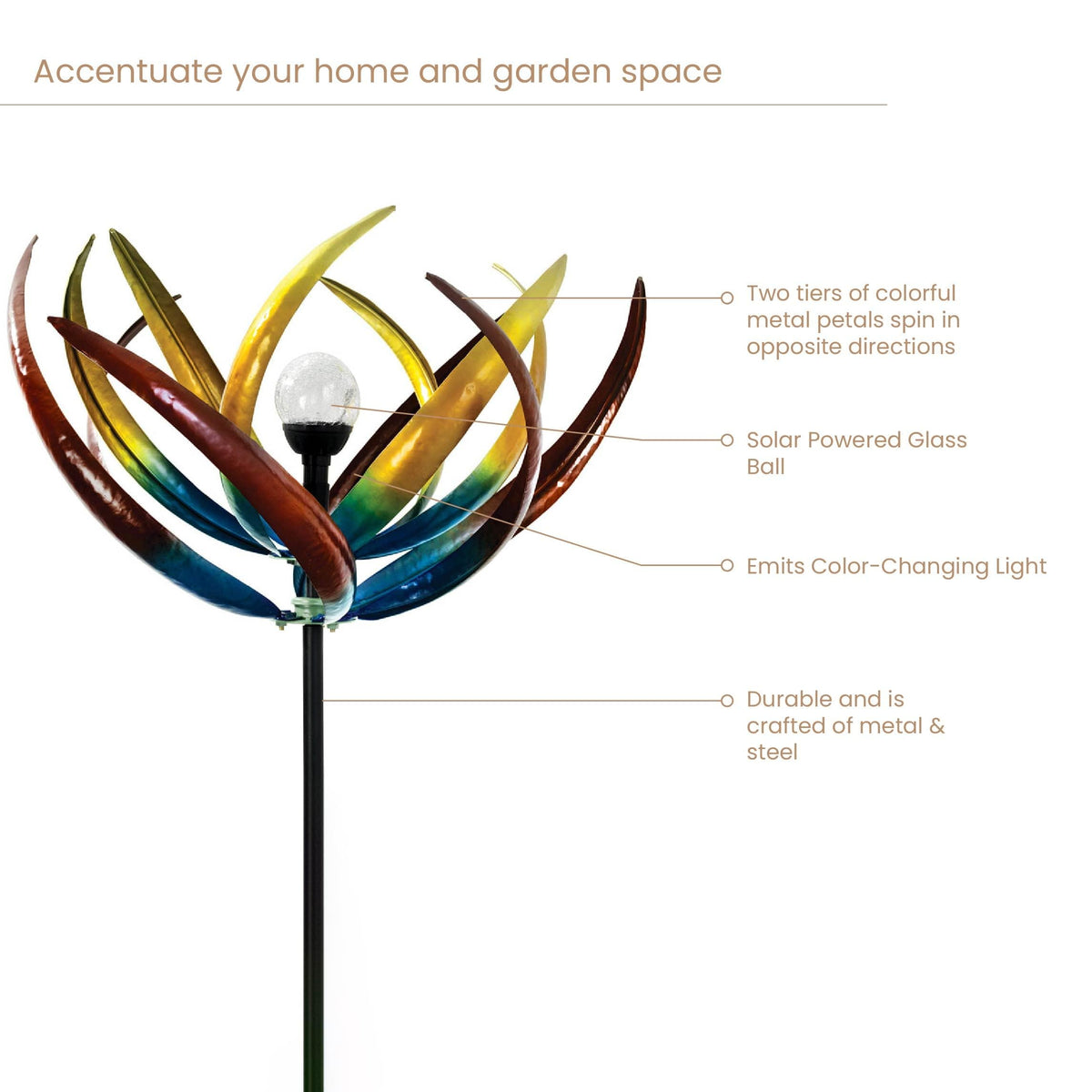 Large 27-inch diameter petals create a striking garden focal point