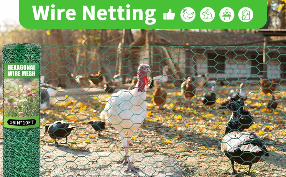 Bittesnew garden barrier wire protecting plants from small intruders.