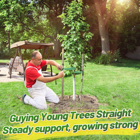 Biubee 108ft green blend tree tie blends with landscape while stabilizing
