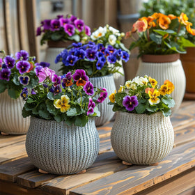 Biubee corkwood planter lifter promotes air flow under pots
