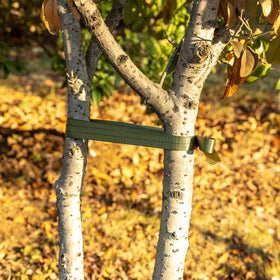 Biubee landscaping-friendly tie blends with yard greenery