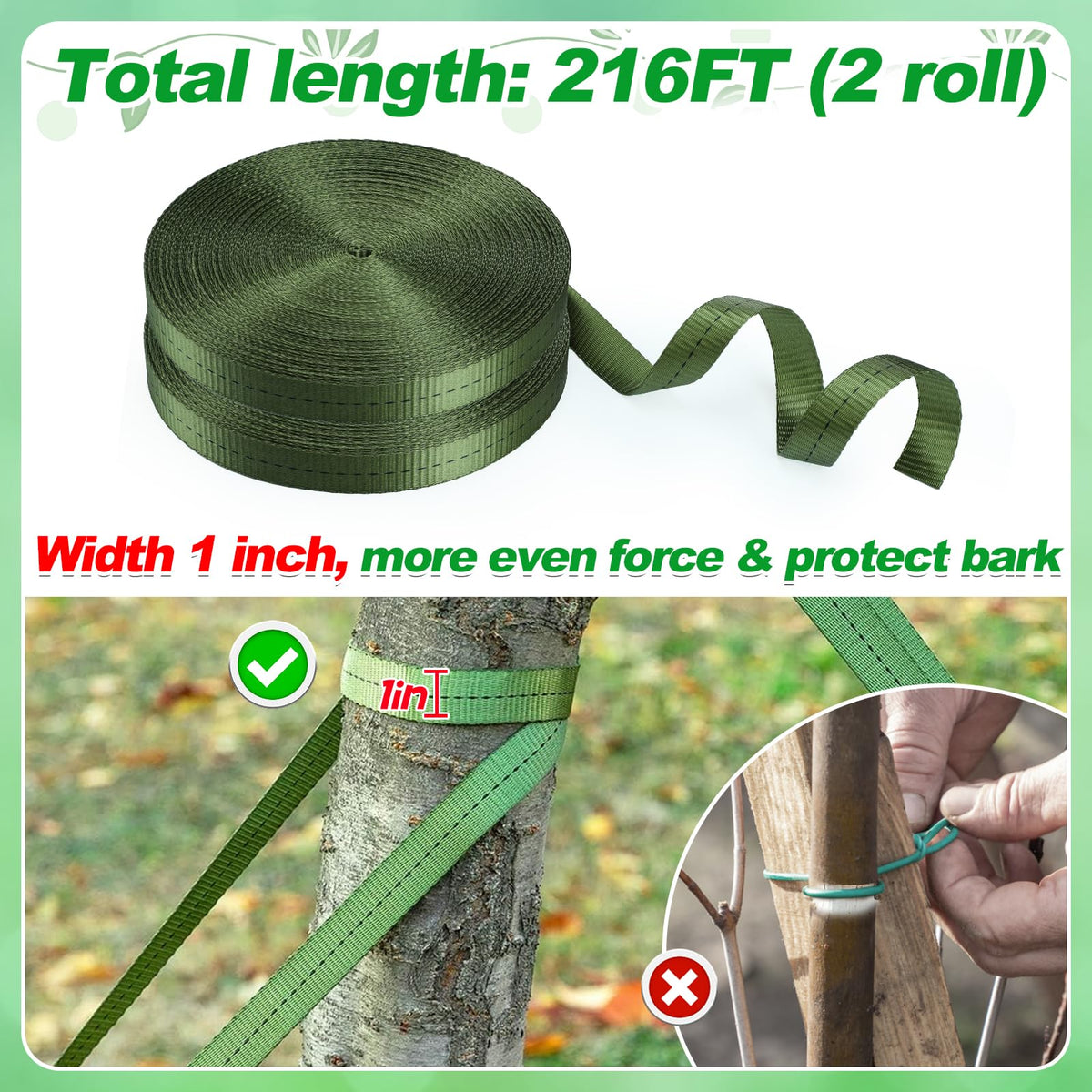 Biubee tree staking on a sapling demonstrates gentle, firm support