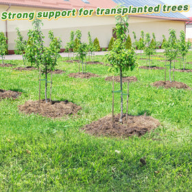 Biubee 206ft green-length strap for extended staking on larger landscape setups