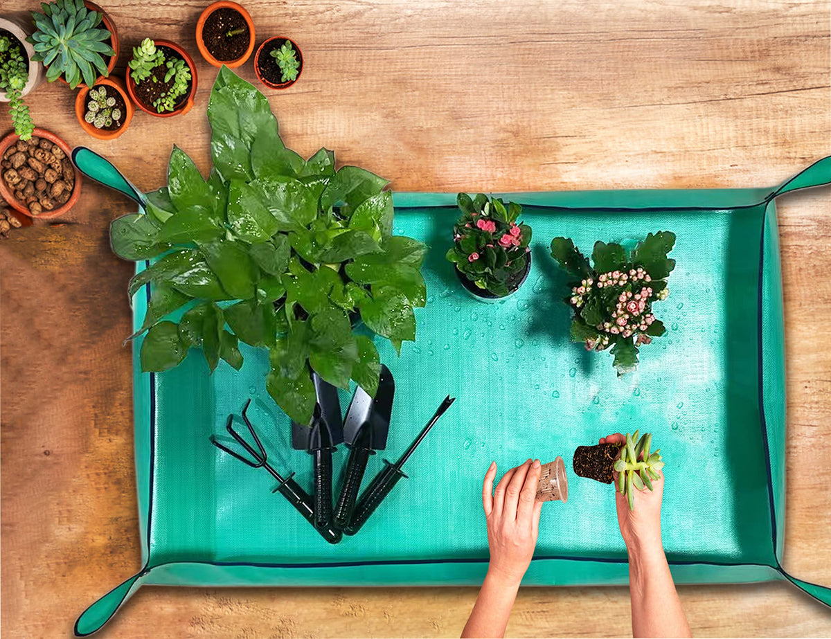 BIUWING corner buckles anchor mat to prevent spills during potting