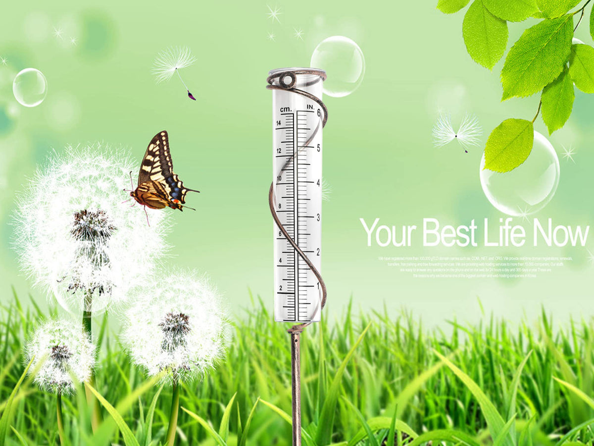 BIUWING outdoor accessory enhances rain measurement setups.