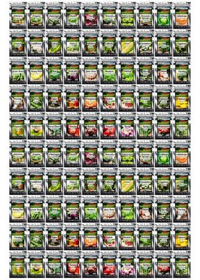 B&KM Farms over 100,000 heirloom seeds symbolize garden diversity and abundance.