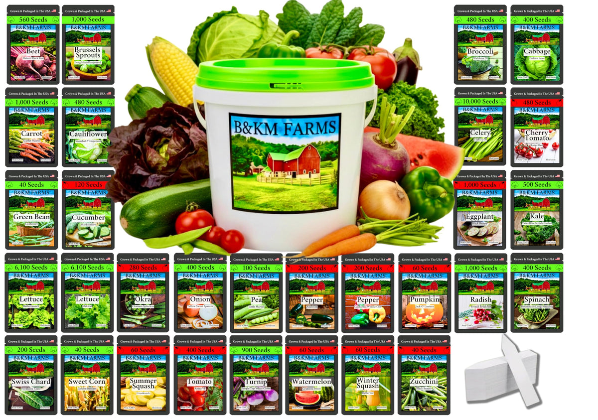 B&KM Farms BKF survival seed kit packaging, durable bucket for long-term storage.