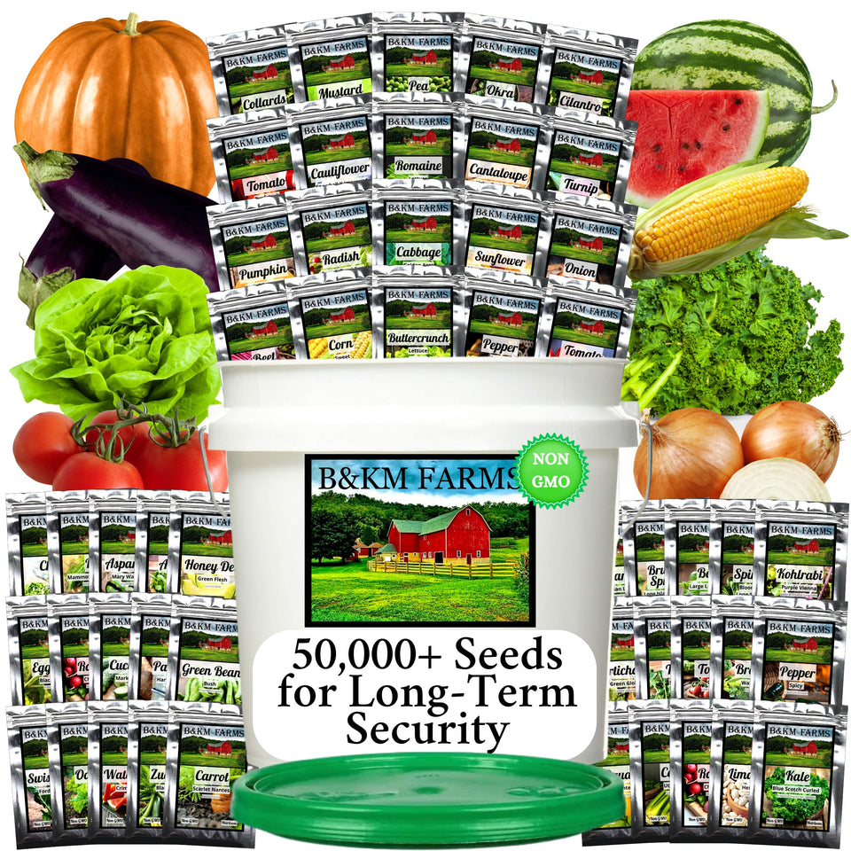 B&KM Farms Survival Seed Vault with sealed mylar packets for long-term viability.
