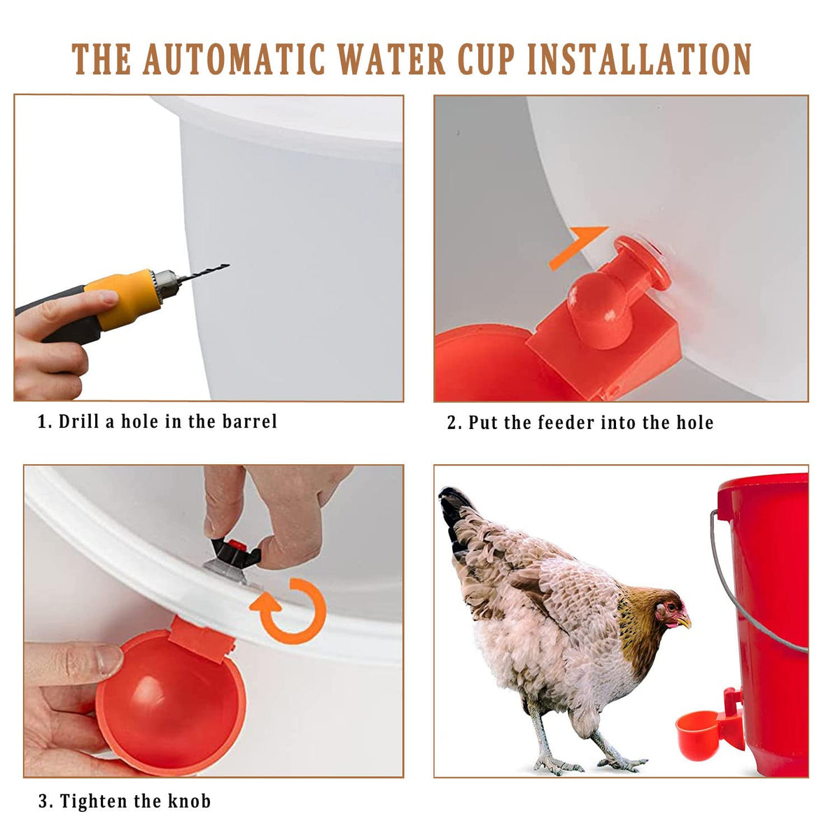 Bkotoo versatile poultry setup supports multiple species and locations