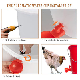 Bkotoo versatile poultry setup supports multiple species and locations