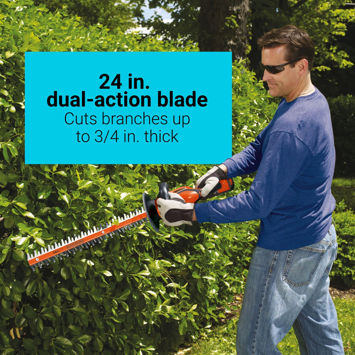 BLACK+DECKER hedge trimmer cuts branches up to 3/4 inch with ease