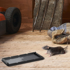 Black+Decker ready-to-use glue board simplifies cleanup after capture.