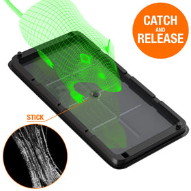 Black+Decker trap placed along wall ready to catch pests.