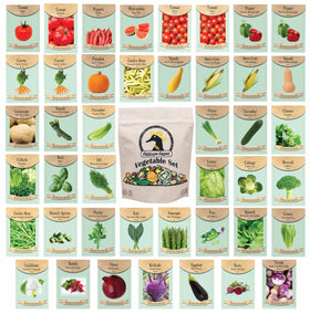 Black Duck Brand 43-seed packets for diverse home vegetable gardening.