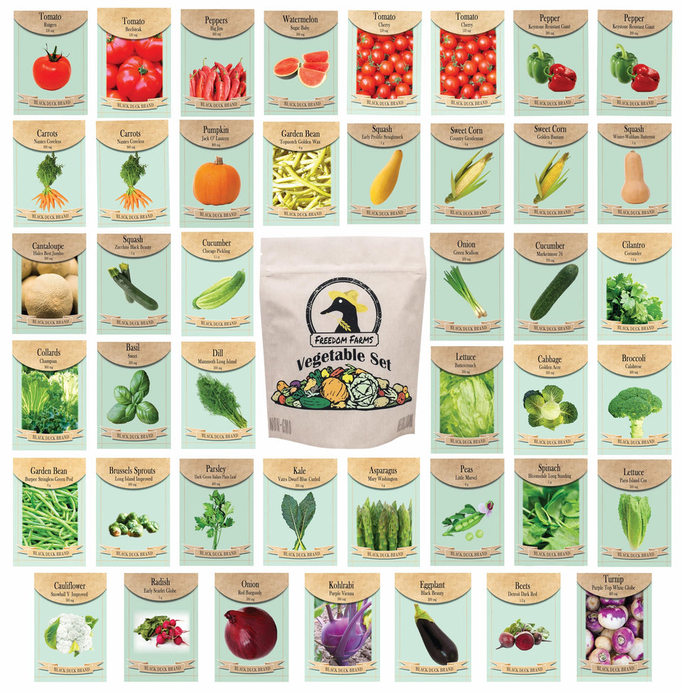 Black Duck Brand 43-seed packets for diverse home vegetable gardening.