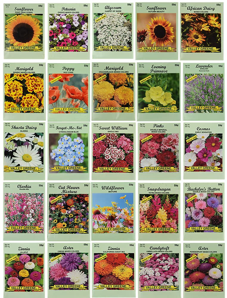 Black Duck Brand Flower Seed Set 25-pack front view showing diverse non-GMO seeds for a colorful garden.
