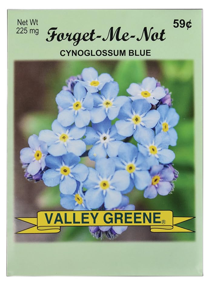 Black Duck Brand Forget Me Not seed packets for vibrant borders and cottage gardens