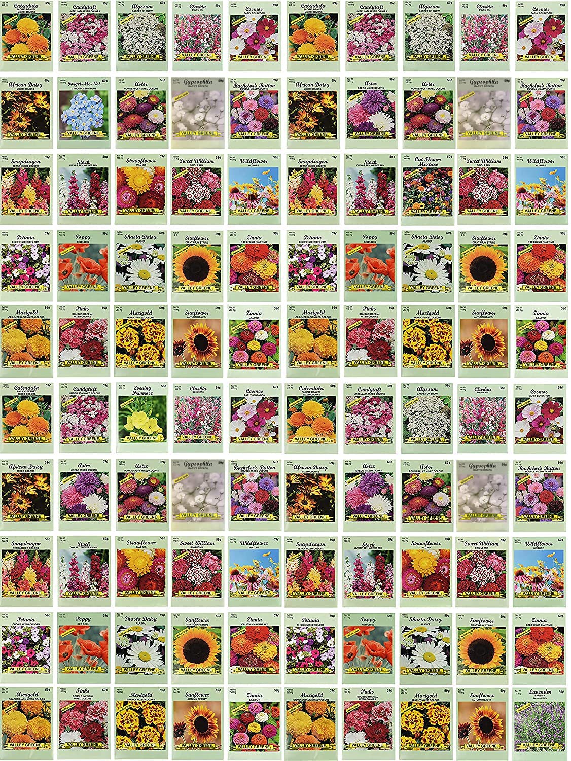 Black Duck Brand seed packets bulk display, ideal for classrooms and home gardens.