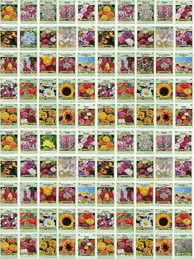 Black Duck Brand seed packets bulk display, ideal for classrooms and home gardens.